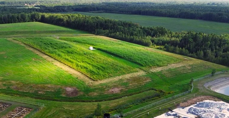 Système Evaplant® de Ramo au lieu d'enfouissement de Saint-Lambert-de-Lauzon