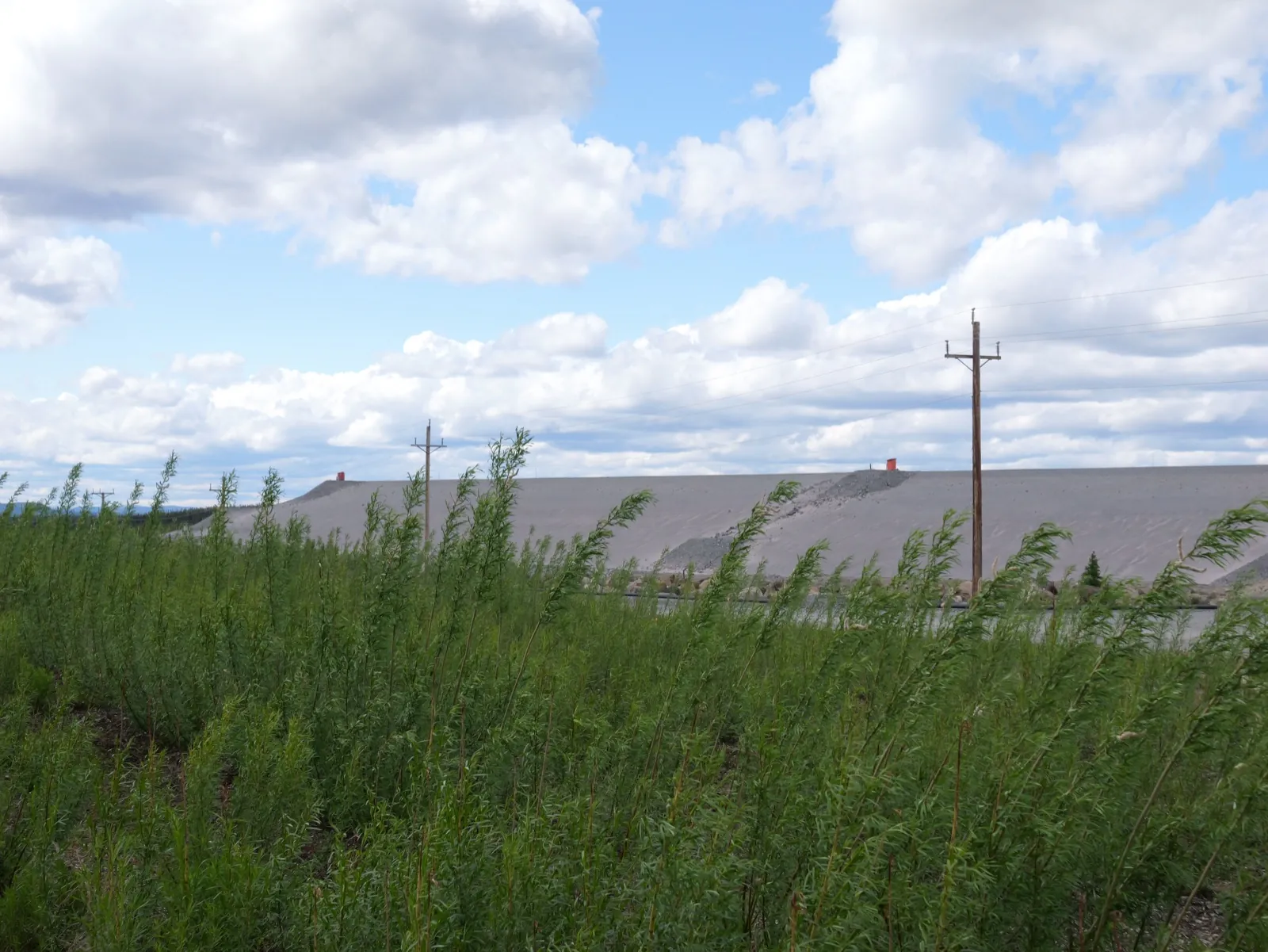 Vue du site minier de Mont-Wright d'ArcelorMittal à Fermont avec saules au premier plan