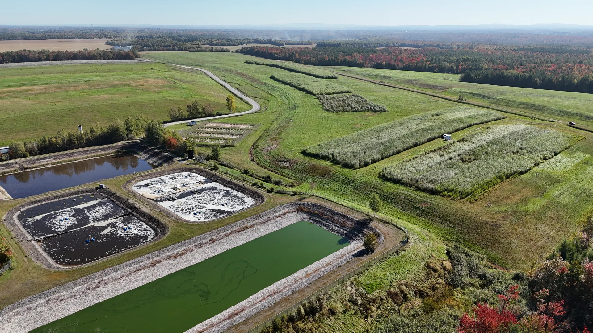 Leachate storage ponds and Evaplant® willow plots at the Saint-Lambert-de-Lauzon landfill, drone view