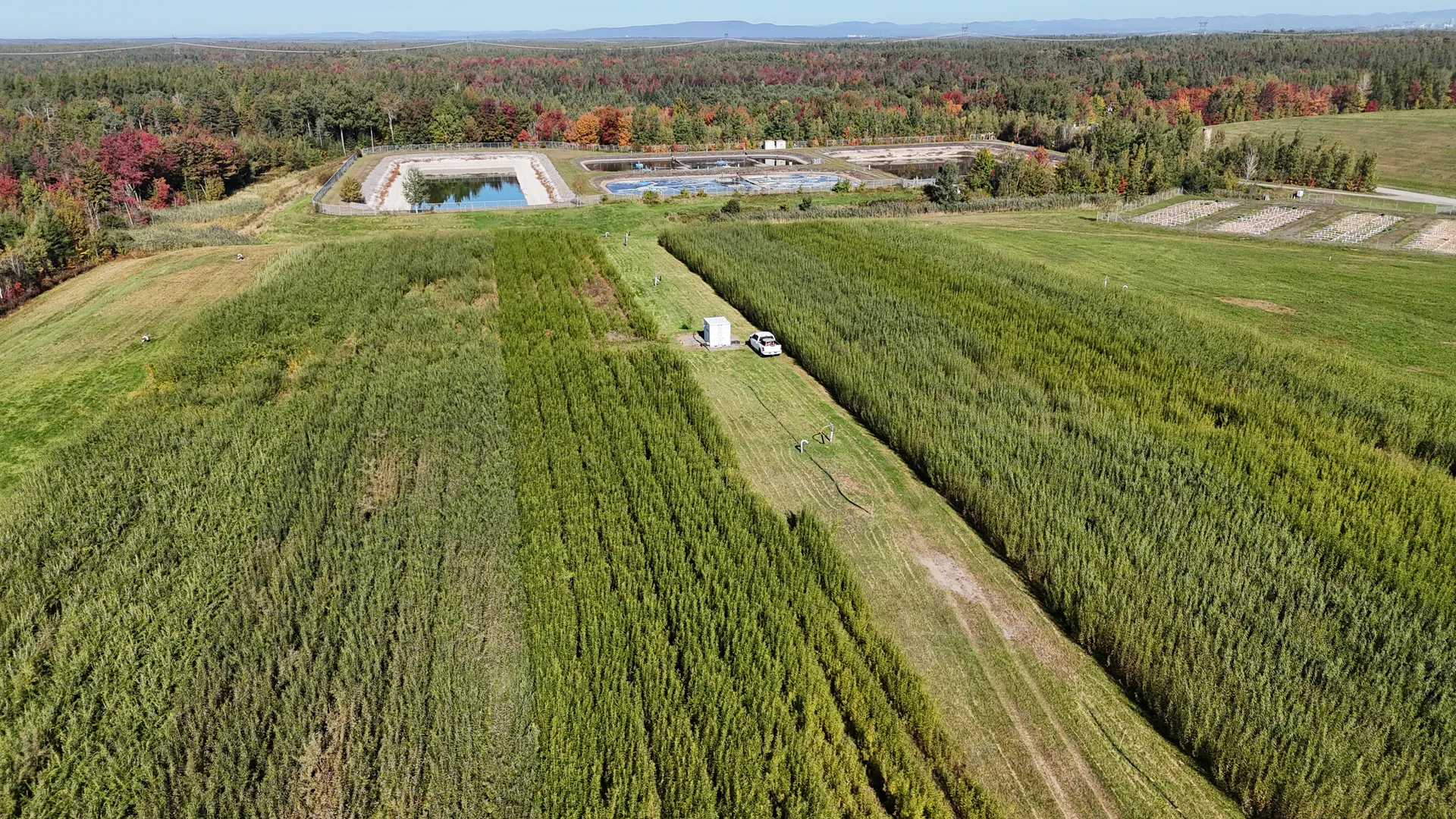 Evaplant® planting at the Evaplant® (Saint-Lambert-de-Lauzon LET) drone view, Quebec