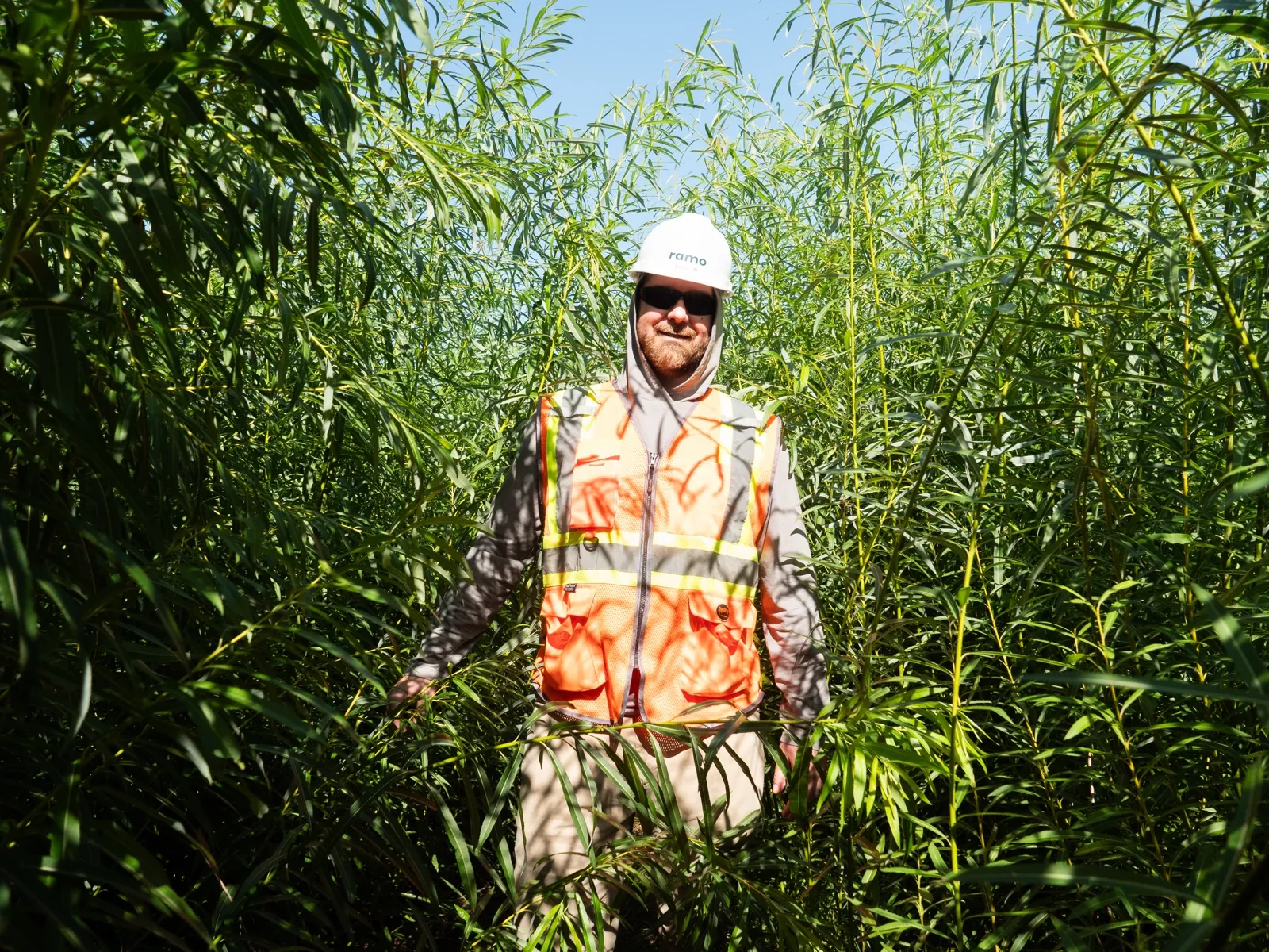 Ramo technician inspecting a mature Evaplant® planting in Saint-Nicéphore, Quebec
