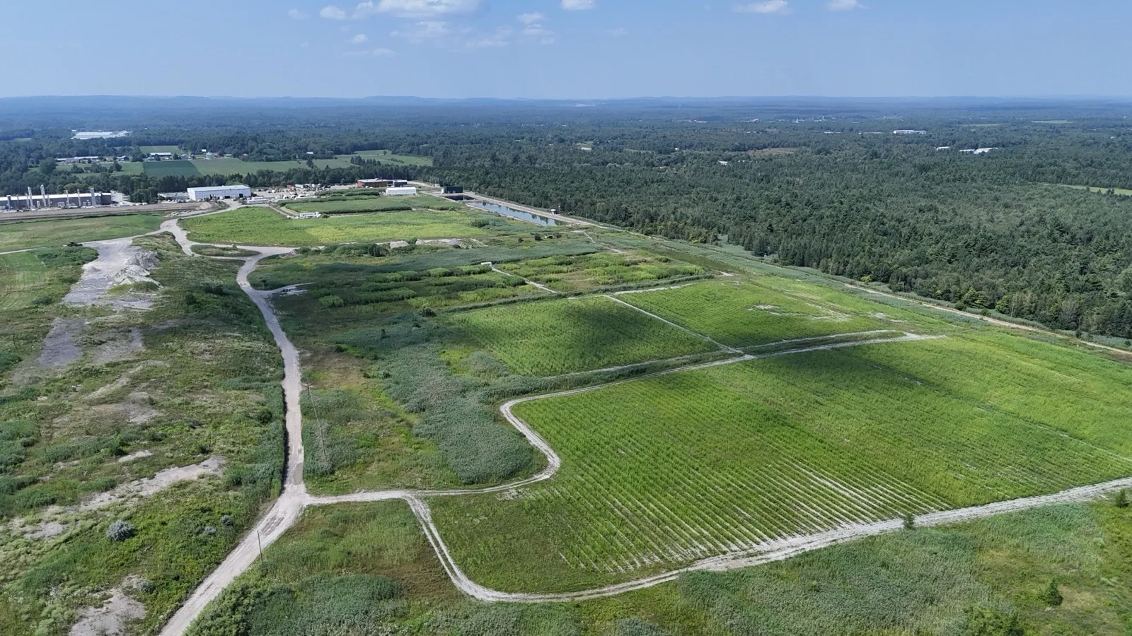 Evaplant® planting at the Sainte-Sophie engineered landfill, drone view, Quebec