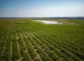 Couvert évapotranspirant Evacap™ avec bassin de gestion, vue aérienne