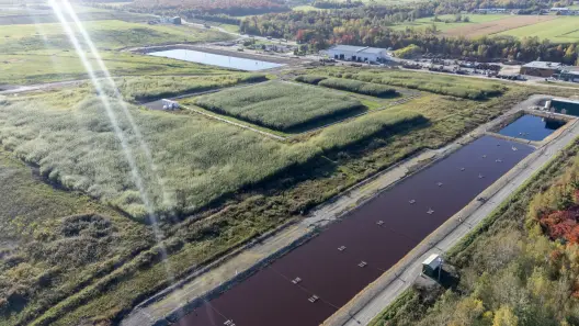 Système Evaplant® de traitement des eaux par les saules, vue aérienne