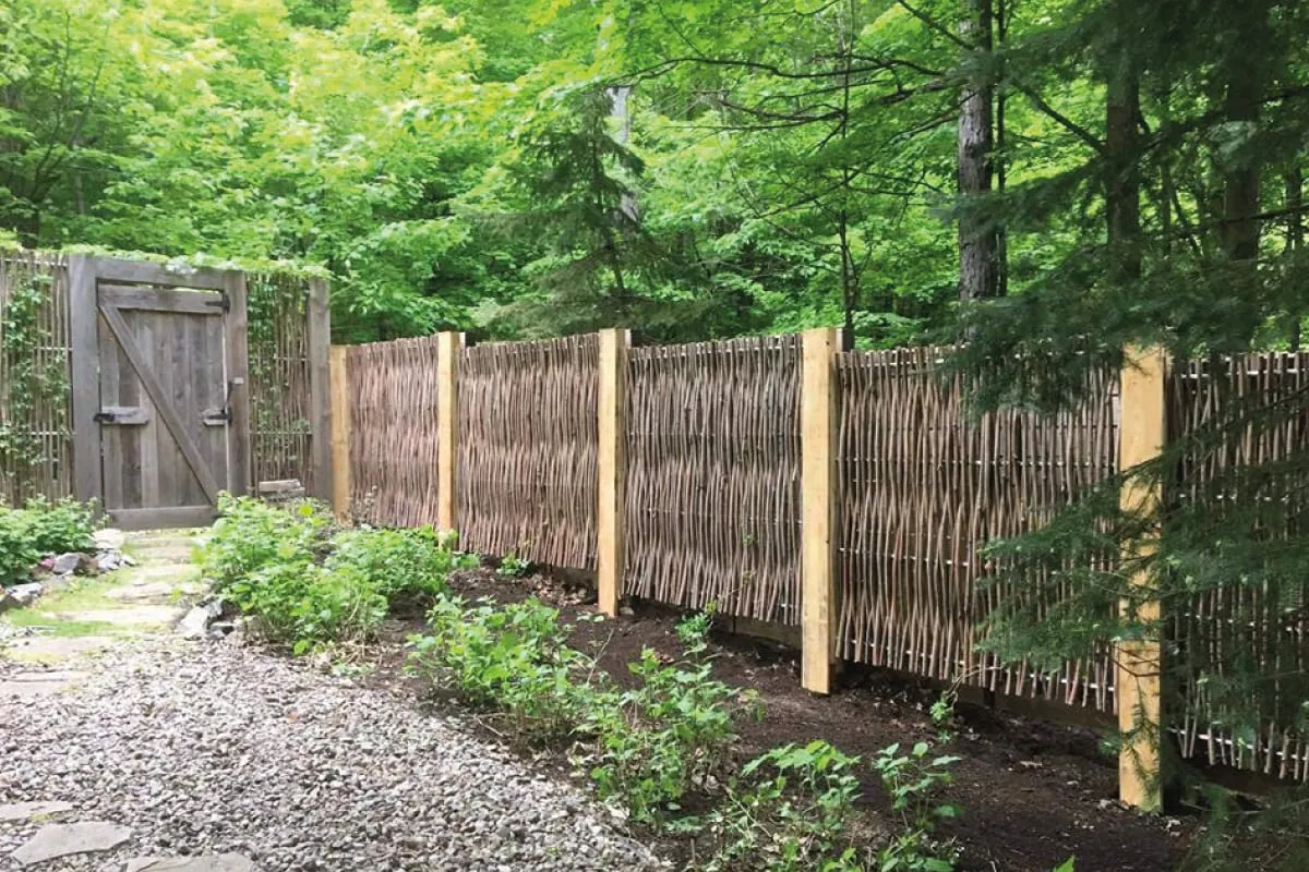 Clôture en saule tressé dans aménagement résidentiel boisé, Québec