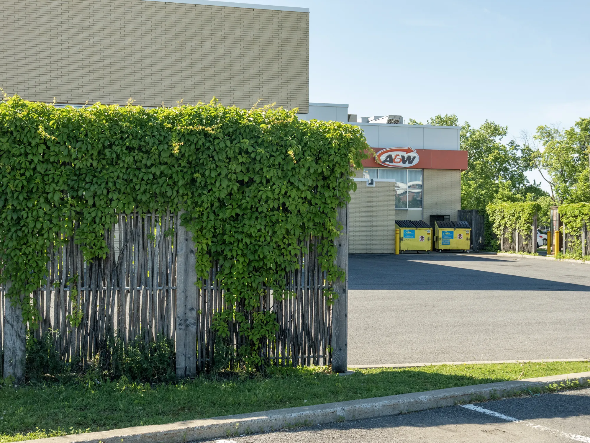 Clôture en saule tressé à l'entrée d'un restaurant A&W, Québec