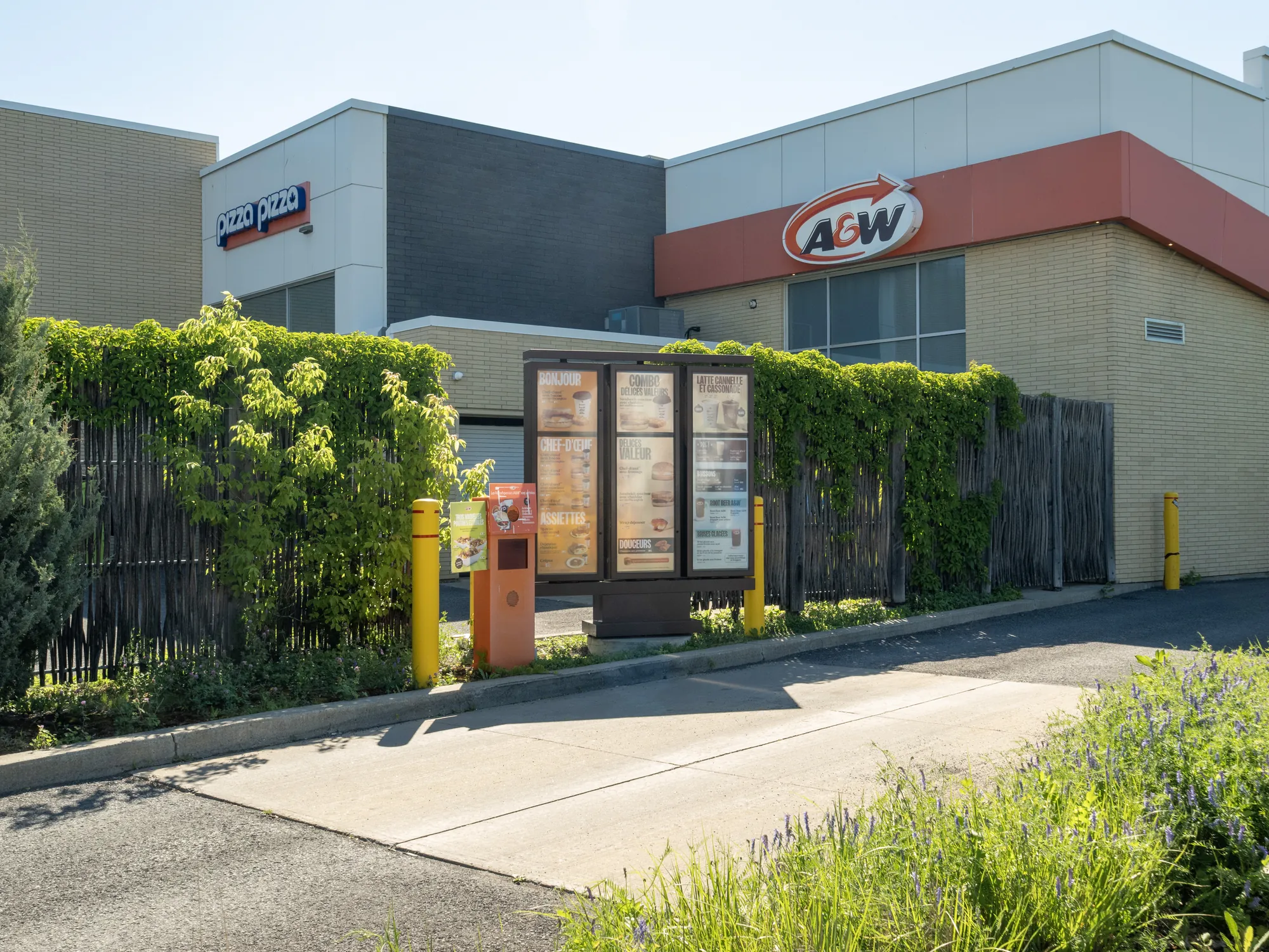 Clôture en saule tressé autour d'un restaurant A&W avec service au volant, Québec