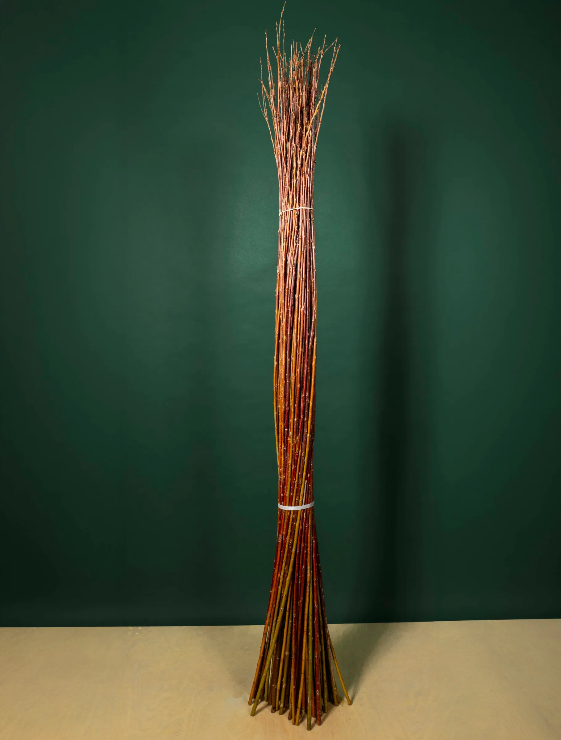 Bundle of long reddish willow rods for basketry, Quebec
