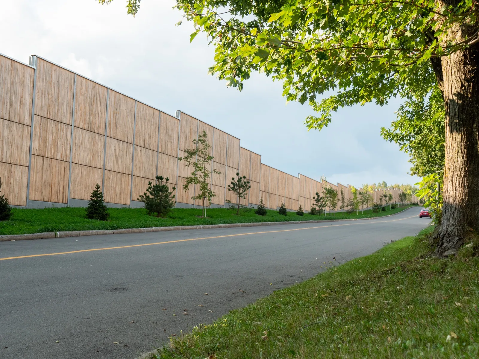 HF1 larch-wood noise barrier along a municipal road in Quebec