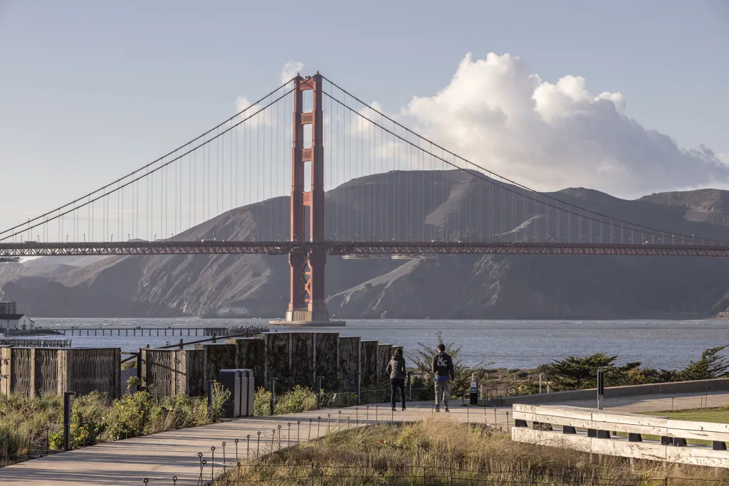 Pilebyg® willow screen in San Francisco, California