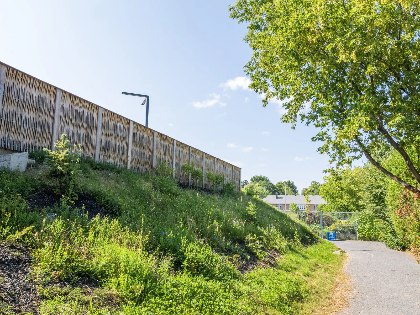 Pilebyg® willow-wood noise barrier alongside a skatepark, Quebec