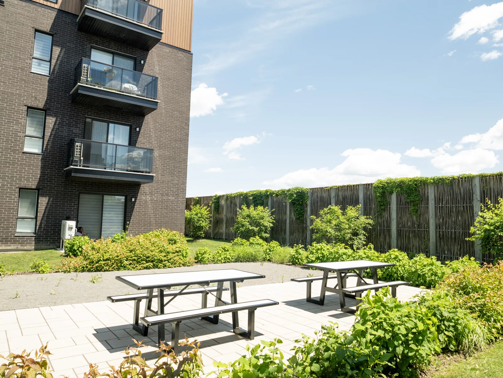 Pilebyg® willow-wood noise barrier near a residential terrace, Aristo project, Quebec