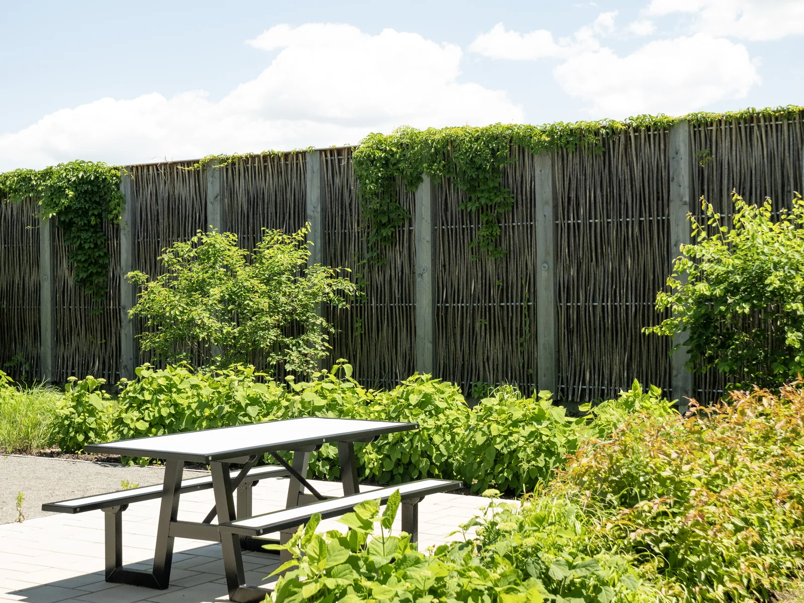 Pilebyg® willow-wood noise barrier along a residential property, Aristo project, Quebec