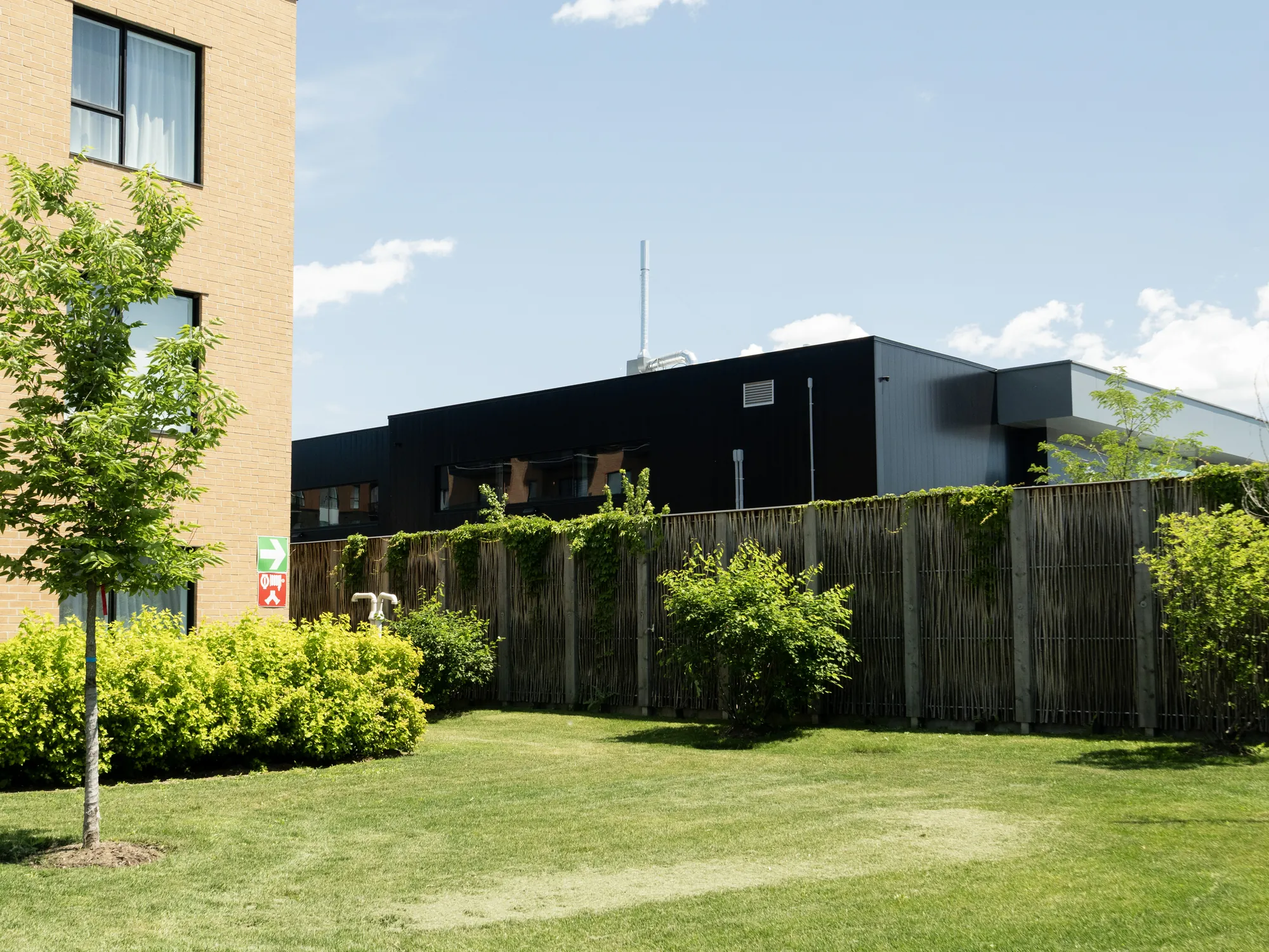 Pilebyg® willow wall bordering a residential courtyard in Quebec