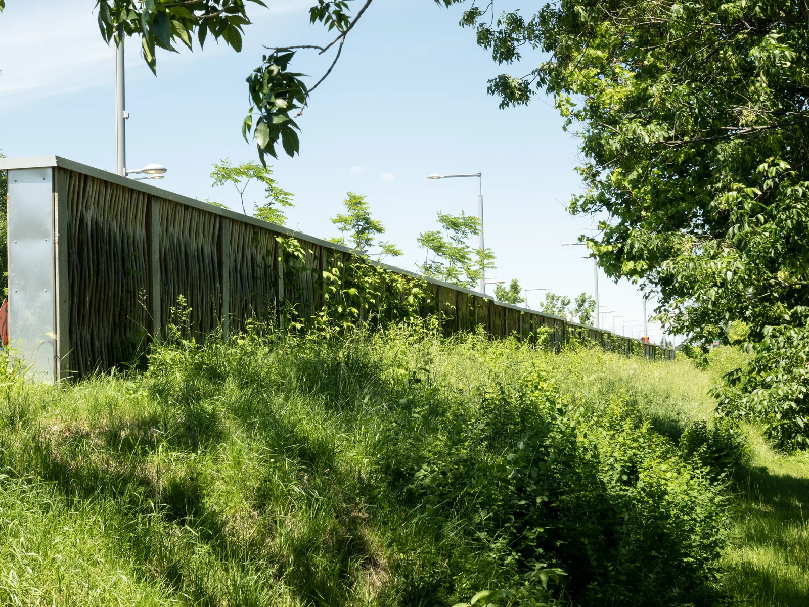 Pilebyg® willow-wood noise barrier on a roadside embankment, Pont-de-l'Île area, Quebec