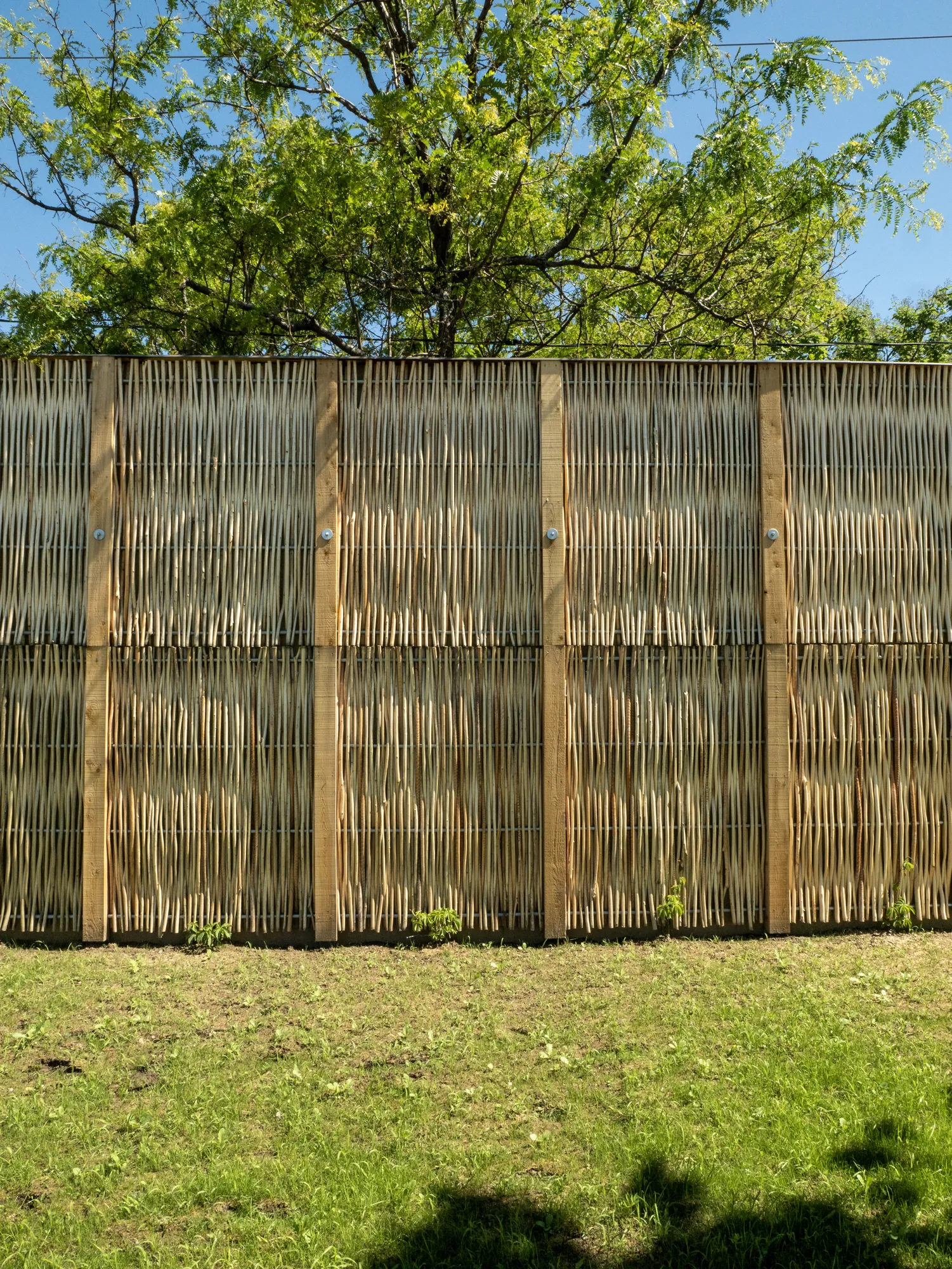 Detail of woven willow on a Pilebyg® wall (natural finish, Saint-Constant)