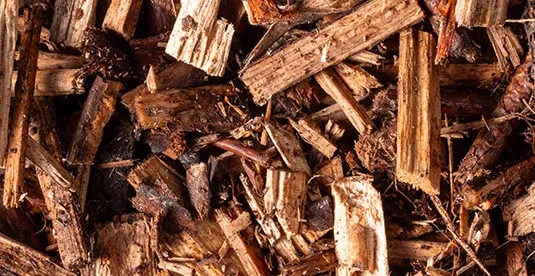 Ramial chipped wood (RCW) from Ramo willows