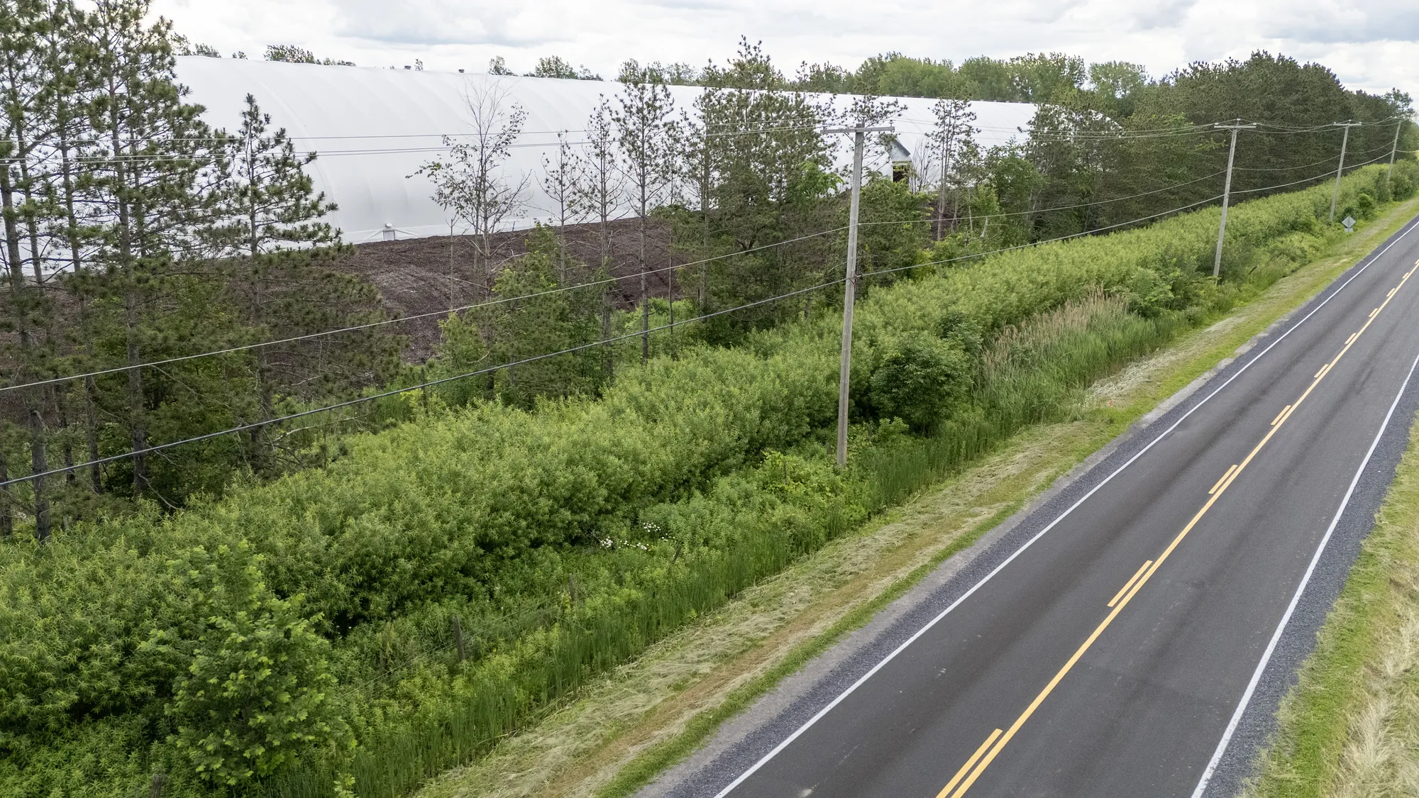 Willow vegetated barrier along the road at Compo-Haut-Richelieu