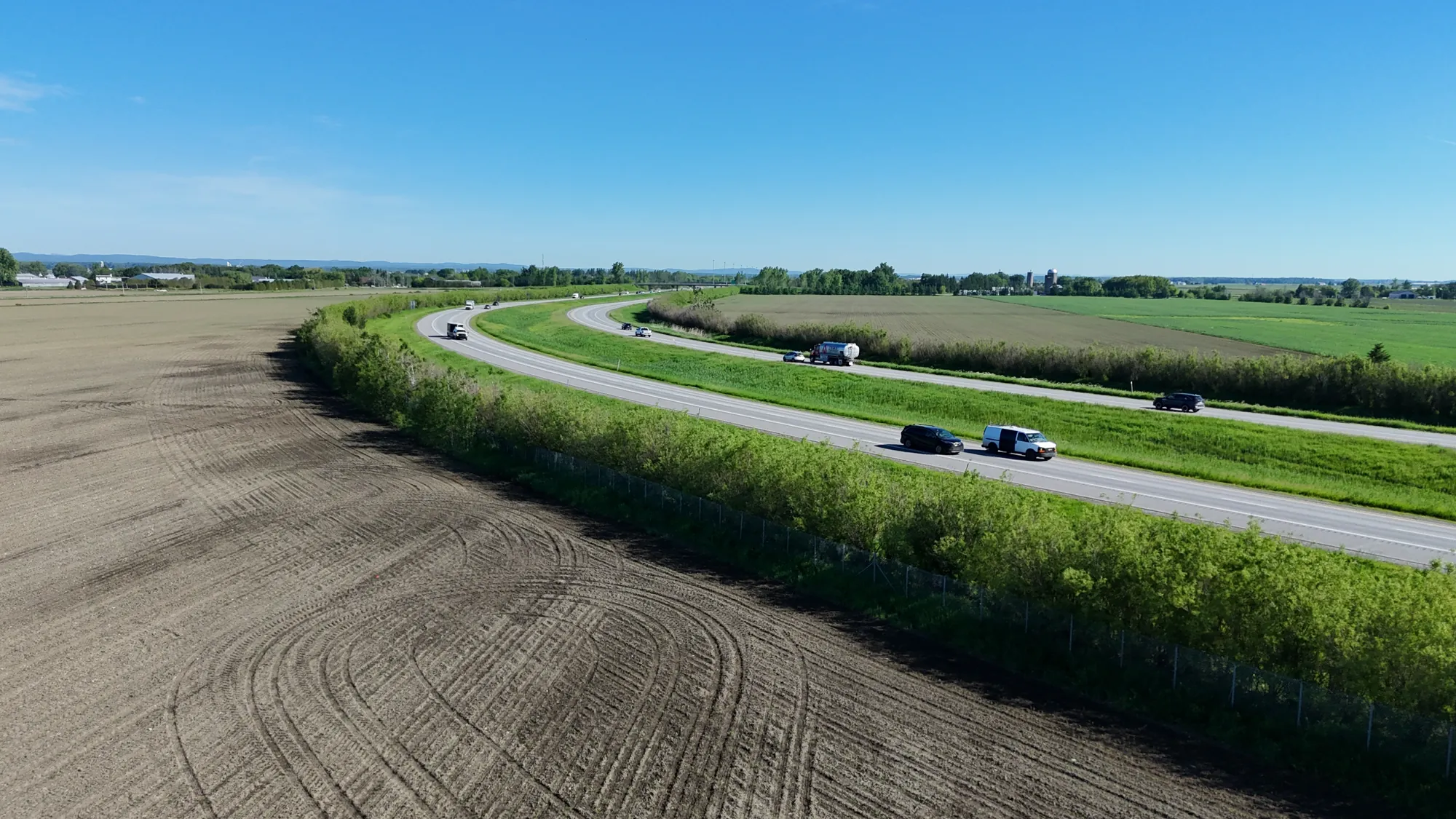 Willow screen along a road between agricultural fields, drone view, Quebec
