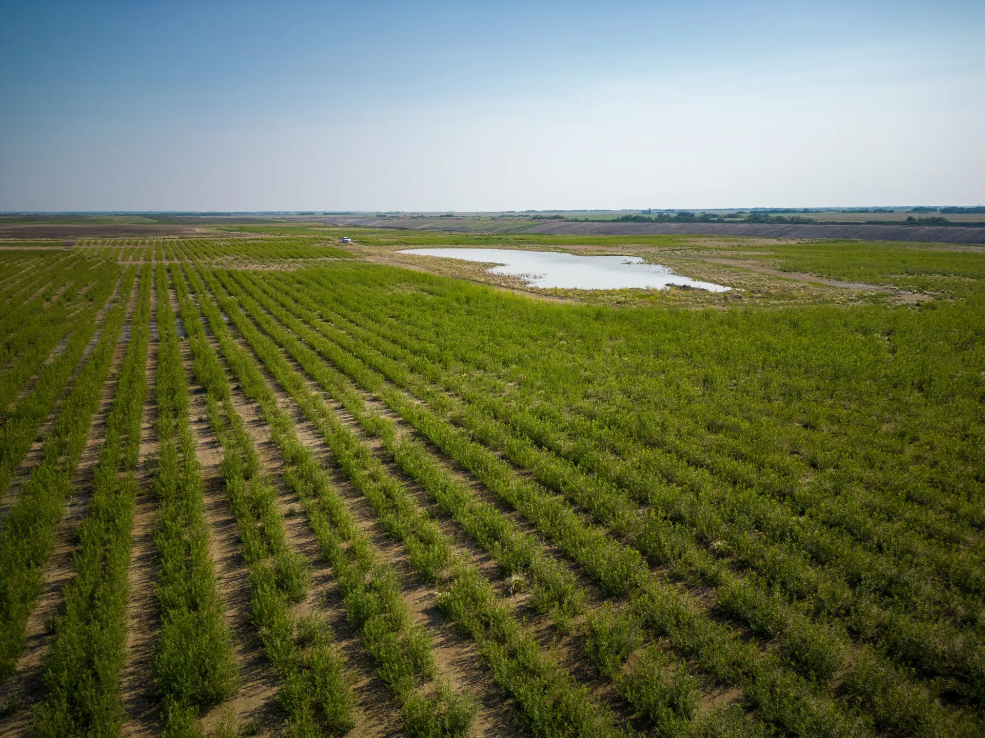 Evacap™ evapotranspirative cover (aerial view of a basin), Quebec