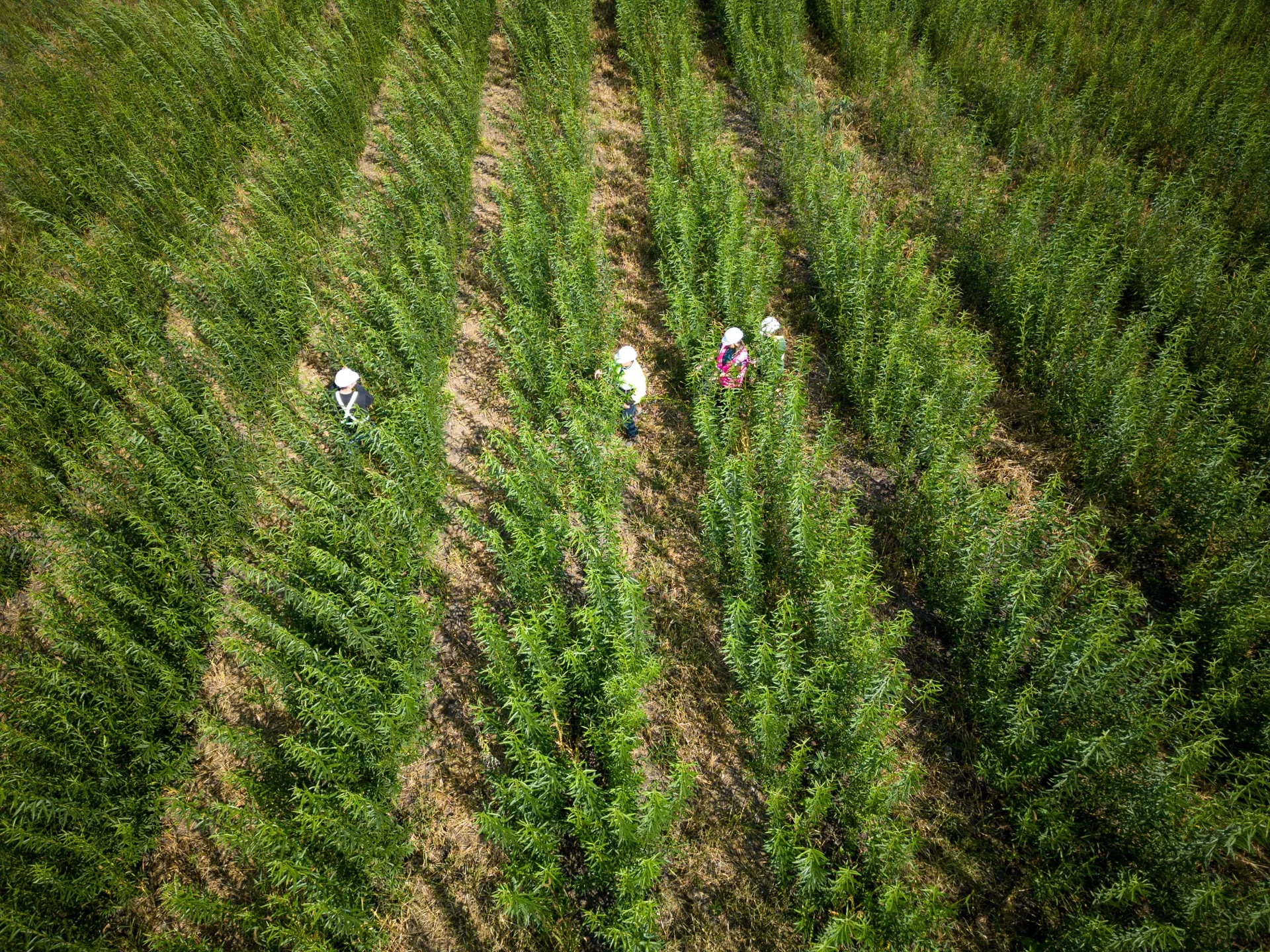 Ramo team inspecting an Evacap™ cover, aerial view, Quebec