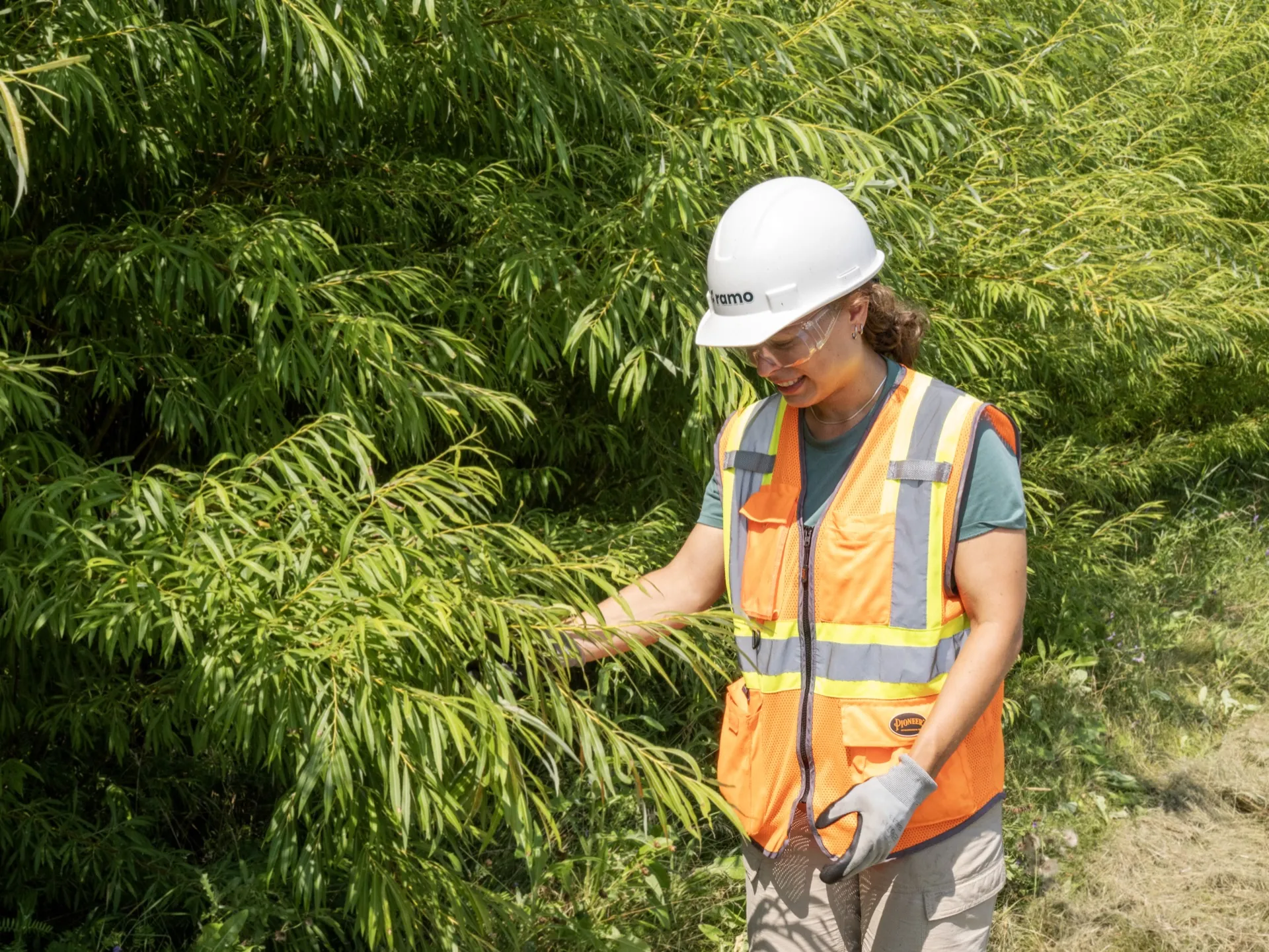 Inspection of the Evaplant® planting in Sainte-Sophie