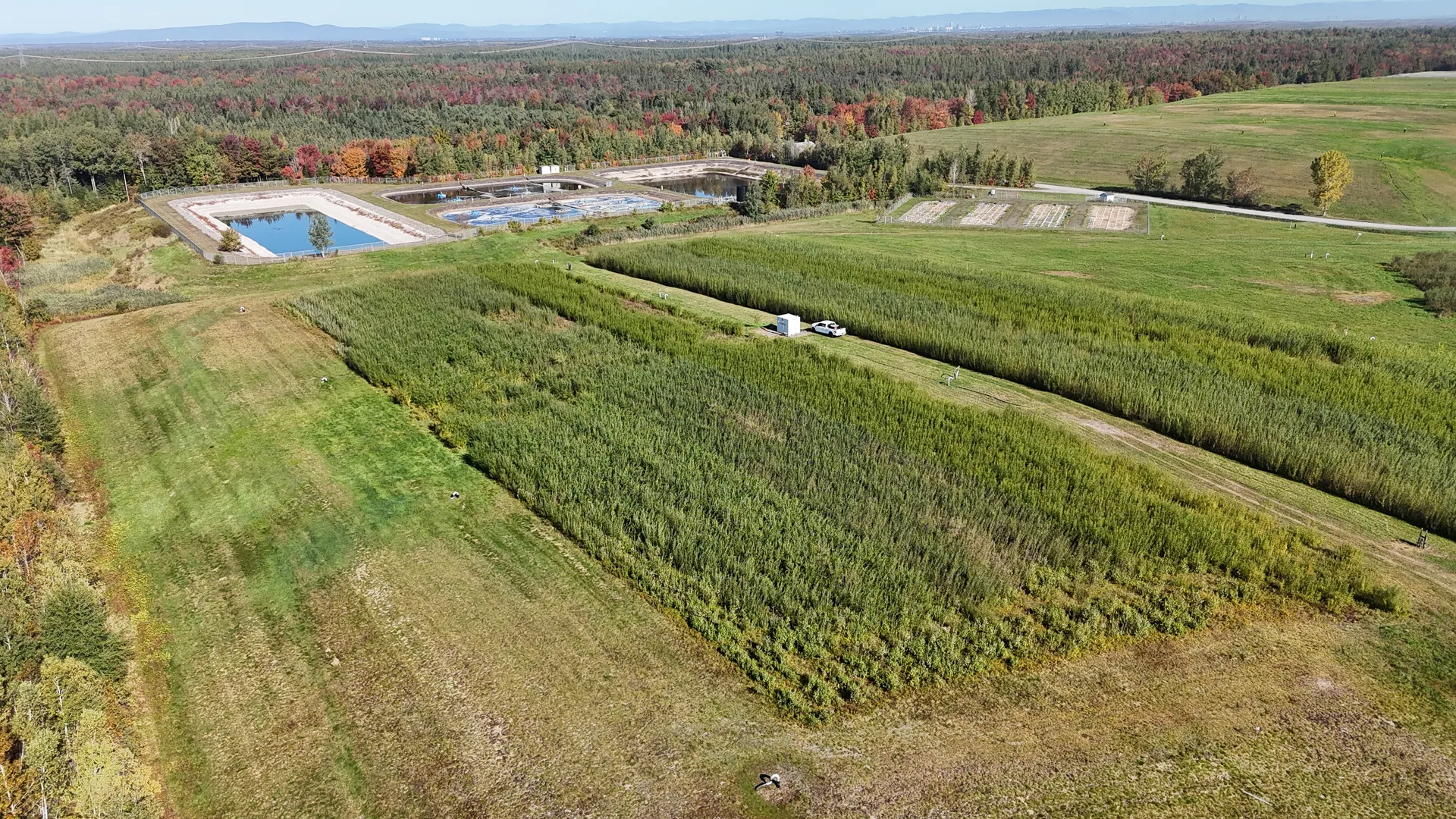 Evaplant® plantation at the Saint-Lambert-de-Lauzon landfill, drone view
