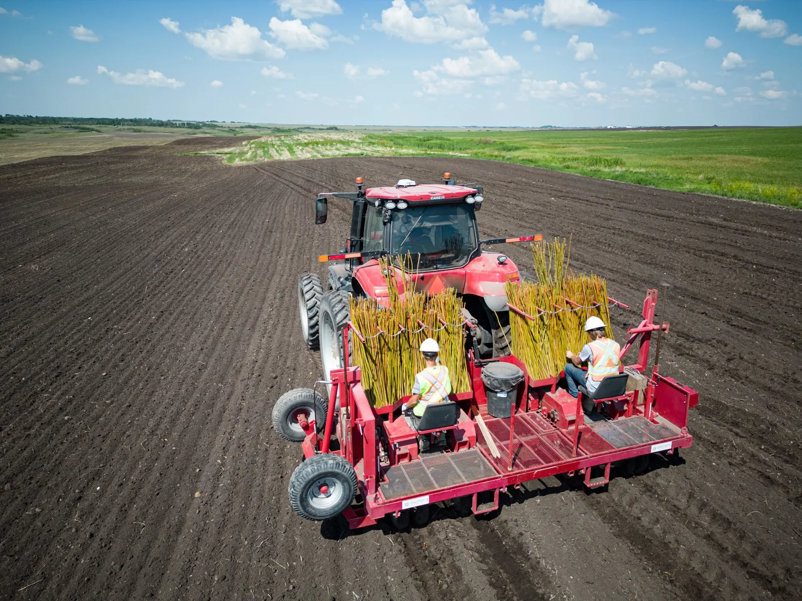 Ramo team planting willows on a site to be revegetated (drone view, Quebec)