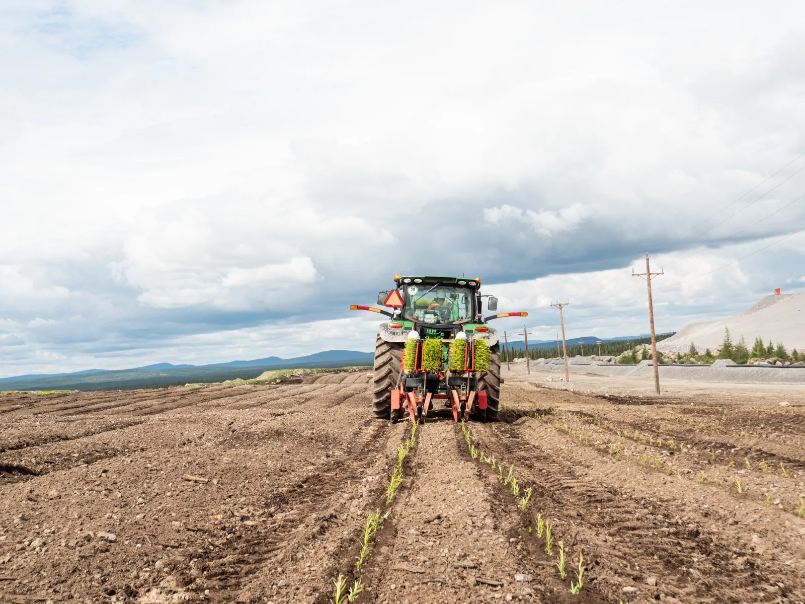 Mechanized willow planting on a degraded mining site in Quebec