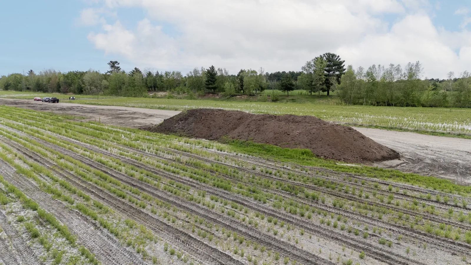 Drone view of a Villeneuve planting with substrate preparation in Quebec